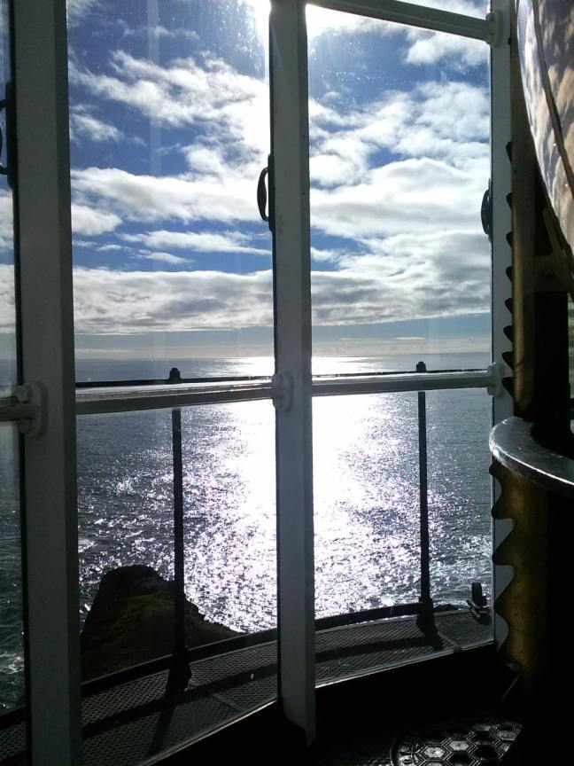 1008235_618887688181862_138407185_o