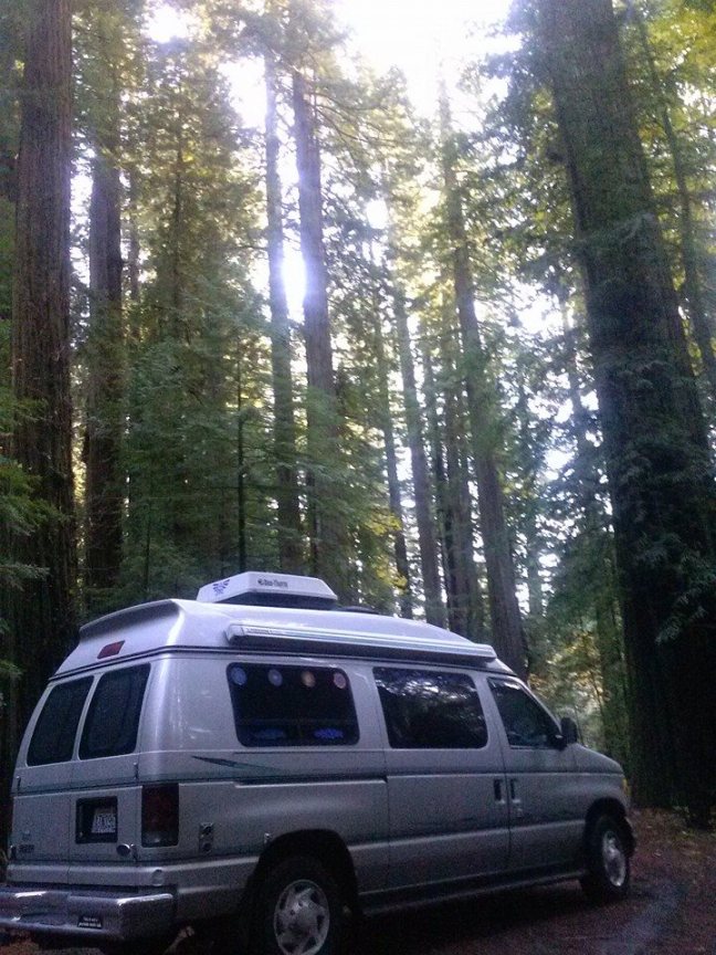 12369173_980902425313718_3048306049707739585_n