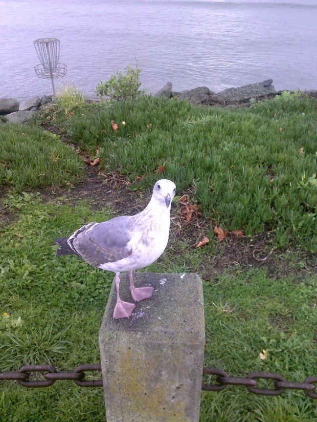 12376541_980899848647309_3883879046620548120_n