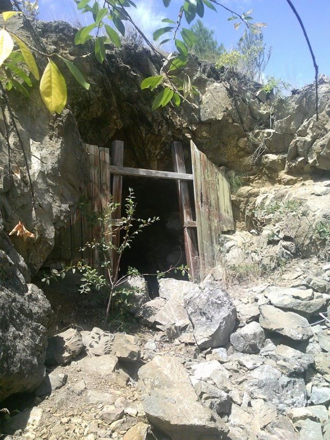 12390875_980883111982316_528042826179371205_n