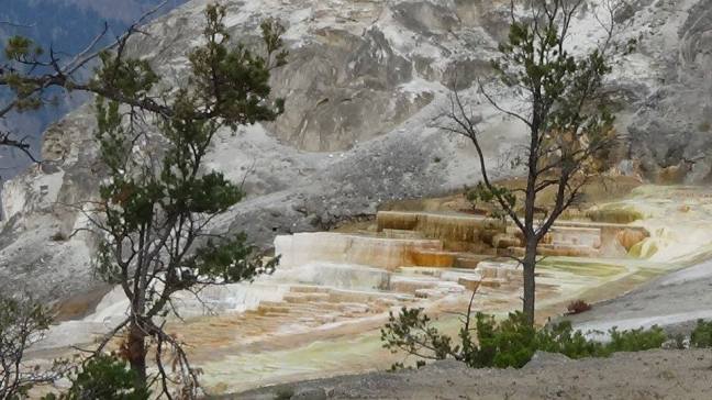 14102234_1168383816565577_1859118736516357300_n