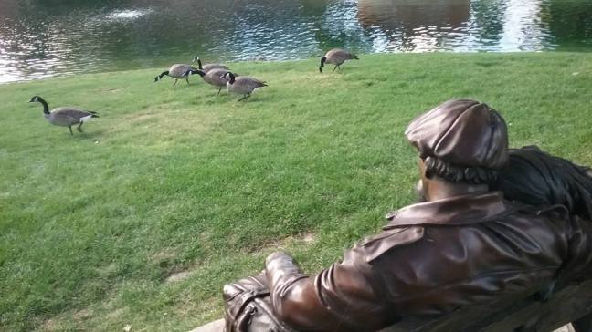 14955903_1243387819065176_5489824497737374832_n