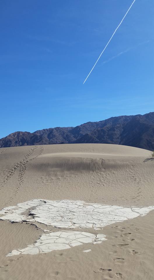 15027844_1243309329073025_2624306703347015147_n