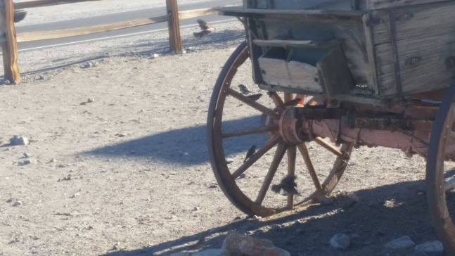 15391509_1280284838708807_4813879064667518051_o