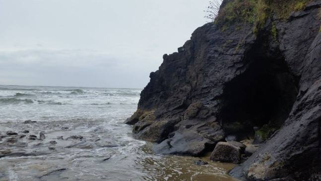 15403798_1280301695373788_8130001607004461835_o