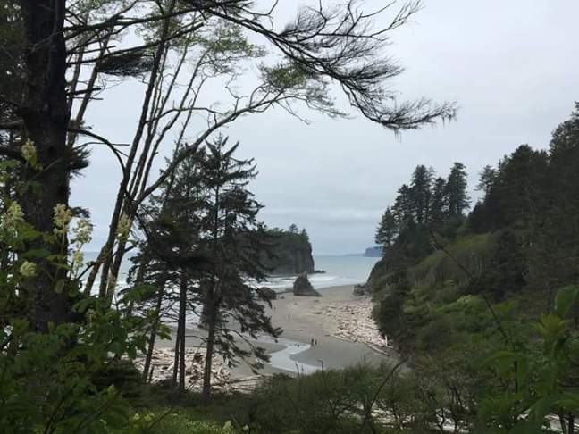 FB_IMG_1528536115315